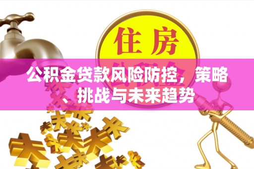 咸丰公积金贷款风险防控，策略、挑战与未来趋势