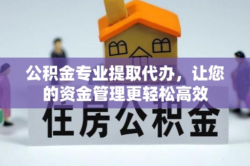 咸丰公积金专业提取代办，让您的资金管理更轻松高效