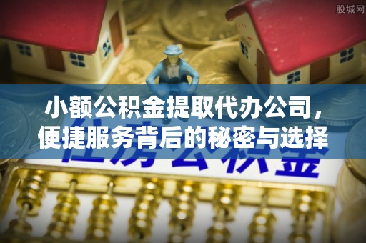 咸丰小额公积金提取代办公司，便捷服务背后的秘密与选择指南
