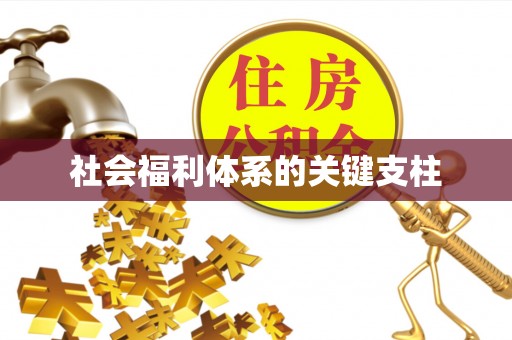 咸丰社会福利体系的关键支柱