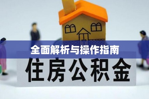 咸丰全面解析与操作指南